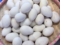 -昌隆•家家鹅乡•海南菜老字号(琼海店)