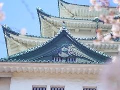 景点-名古屋城