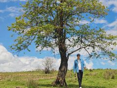 -硗碛藏寨·神木垒景区