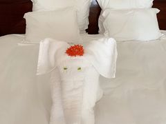-三亚亚龙湾雅高铂尔曼别墅度假酒店