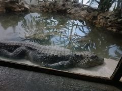 -北京海洋馆