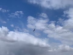 -蒲河岛湿地公园