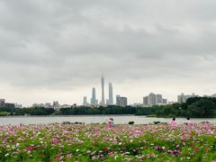 -海珠湖公园