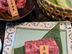 -老乾杯(深圳湾万象城店)