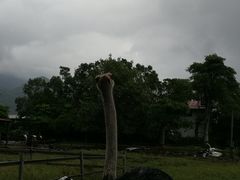 -瑞穗牧场