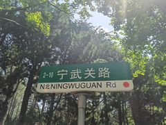 -八大关景区