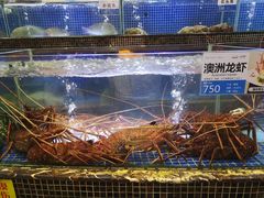水产区-欢乐海岸美食联盟