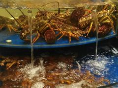 -海景壹号大酒店(滨湖店)