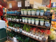 -优衣库(深圳万象天地旗舰店)
