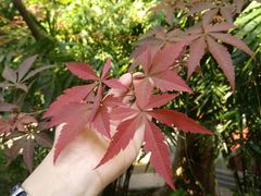 -毛泽东同志旧居