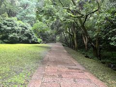 -虎跑公园