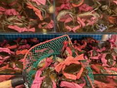 -辣螃铠盆盆蟹大排档(总店)