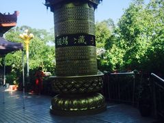 -仙岳公园