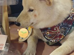 -凯德广场(西城店)