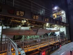 -泰达航母主题公园