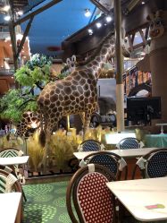 -卡通尼·Safari非洲探索乐园·生日会(金桥国际商业广场店)