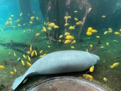 -珠海长隆海洋王国