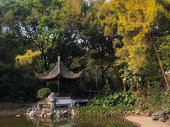 -深圳国际园林花卉博览园