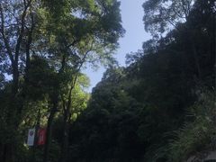 -广州市帽峰山景区