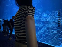 -香港海洋公园