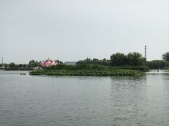 -白洋淀景区