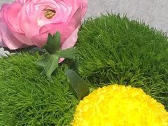 -南堂馆·新川菜(春熙路店)