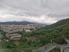 -福道