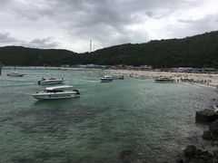 -月光岛