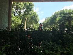 -热带风暴水上乐园(新镇路)