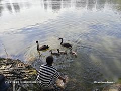 -珠海圆明新园