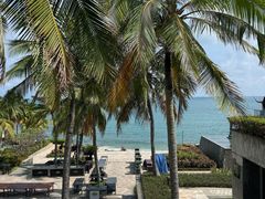 -日落吧·海景咖啡厅·餐酒吧·鸡尾酒·下午茶·乐队表演·浪漫夕阳·三亚文华东方酒店