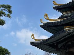 -江心屿景区