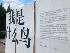 -同里国家湿地公园