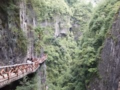 -鹿院坪生态旅游景区