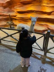 -酷嗒动物文化乐园(cutezoo西溪乐天城店)