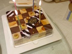 -维尔纳斯·生日蛋糕动物奶油冰淇淋蛋糕(人大店)
