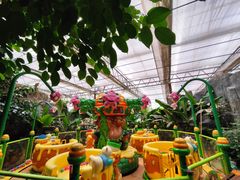 -南宫五洲植物乐园