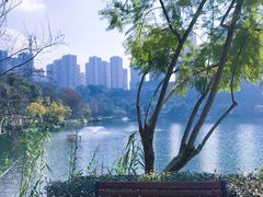 -重庆彩云湖湿地公园