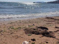 -青岛第二海水浴场