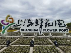 -上海鲜花港