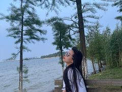 -瑶湖郊野森林公园