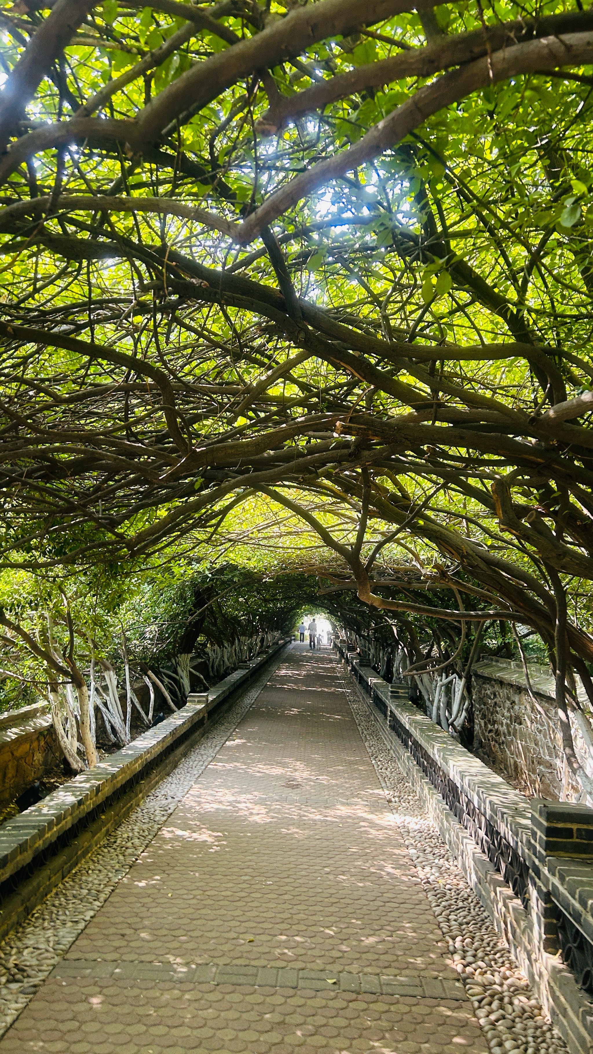 烟台山公园景点图片