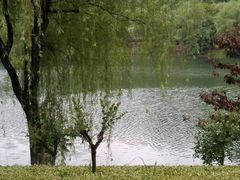 -羊山湖公园