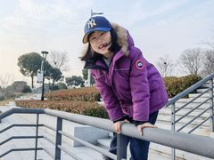 -羊山湖公园