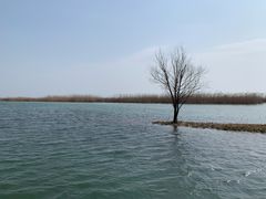 -太湖湖滨国家湿地公园-停车场