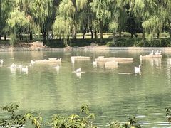 -达活泉公园