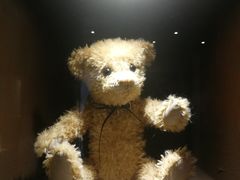 -济州岛泰迪熊博物馆