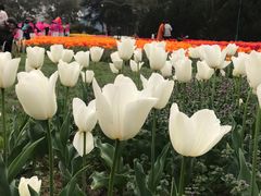 -无锡梅园公园