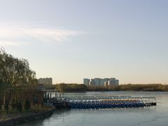 -大兴滨河森林公园