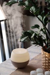 -东方美美容SPA会所